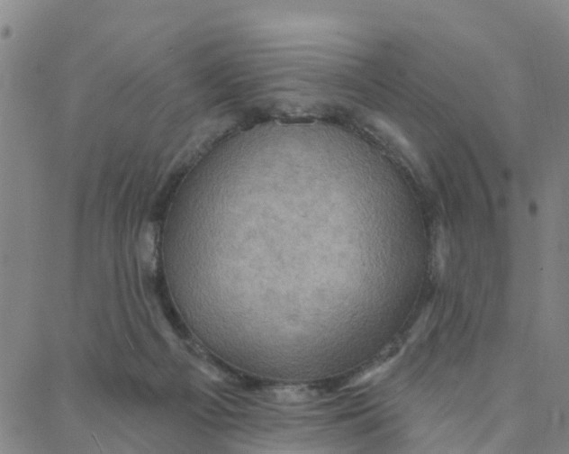 X0000088380121200706121155