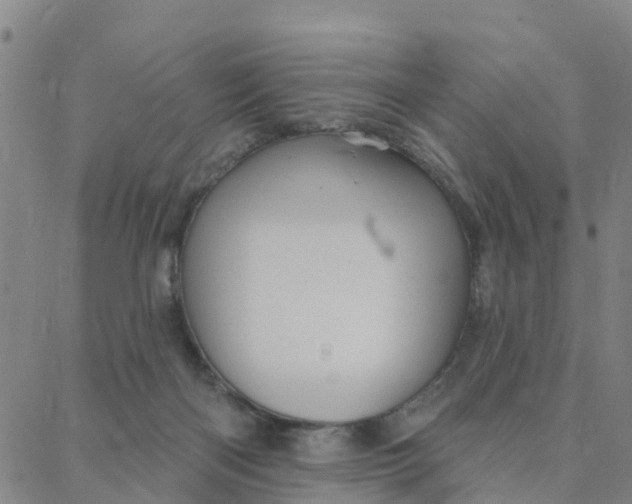 X0000088380122200706121155