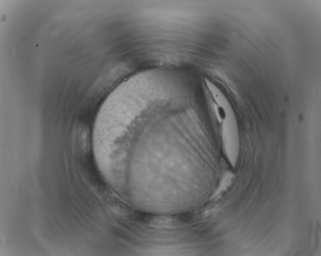 X0000088380123200706121155