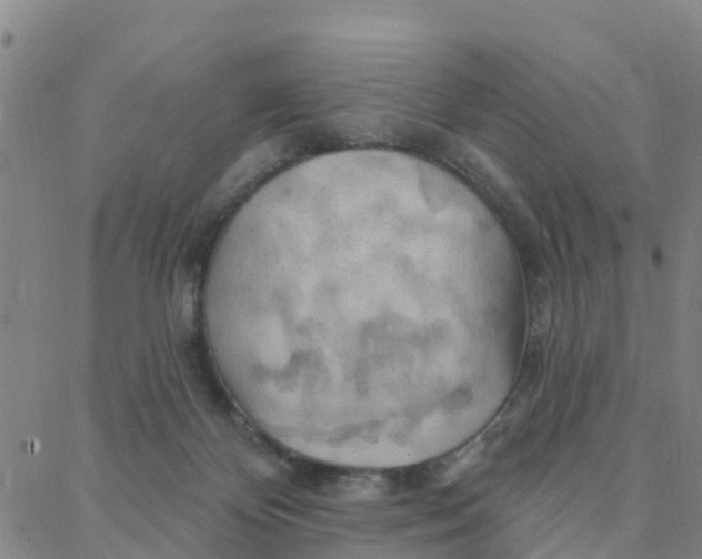 X0000088380124200706121154