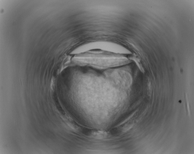 X0000088380125200706121154