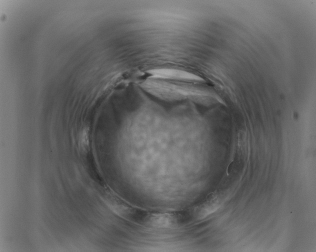 X0000088380127200706121154