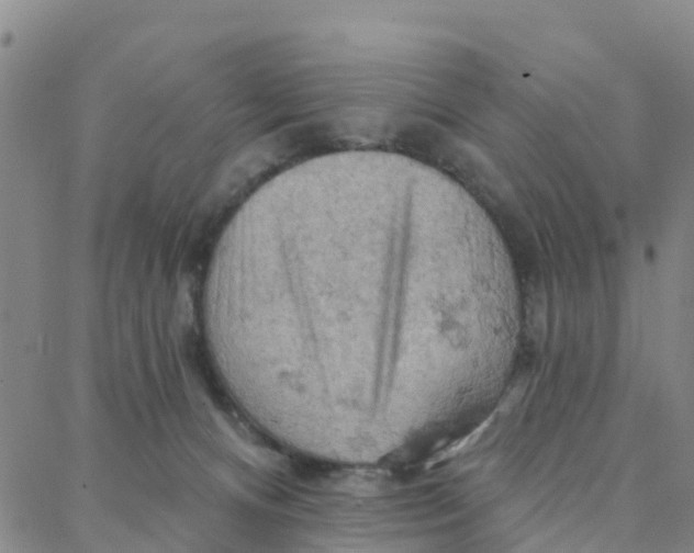 X0000088380128200706121154