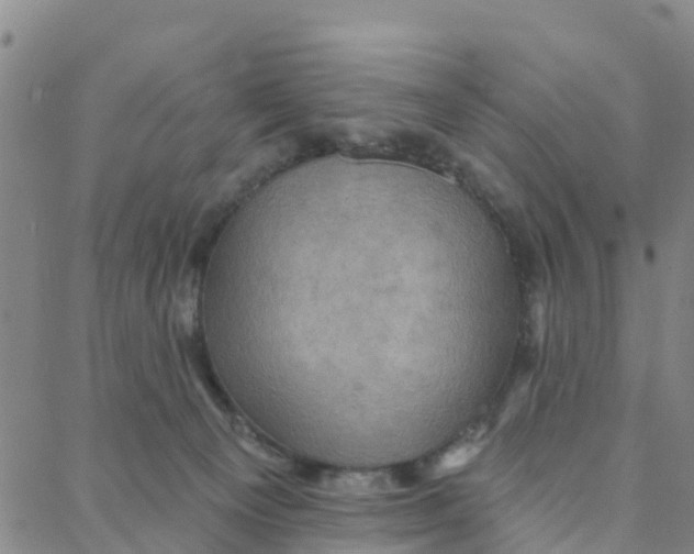 X0000088380129200706121154