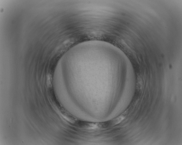 X0000088380130200706121154