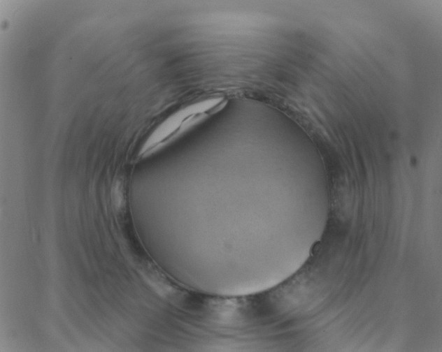 X0000088380131200706121154