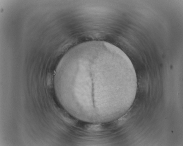 X0000088380132200706121154