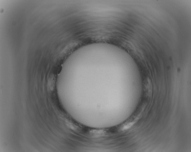 X0000088380133200706121154