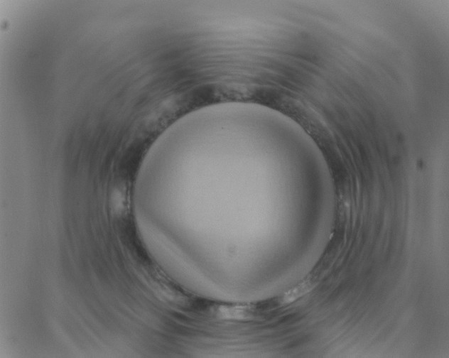 X0000088380134200706121154