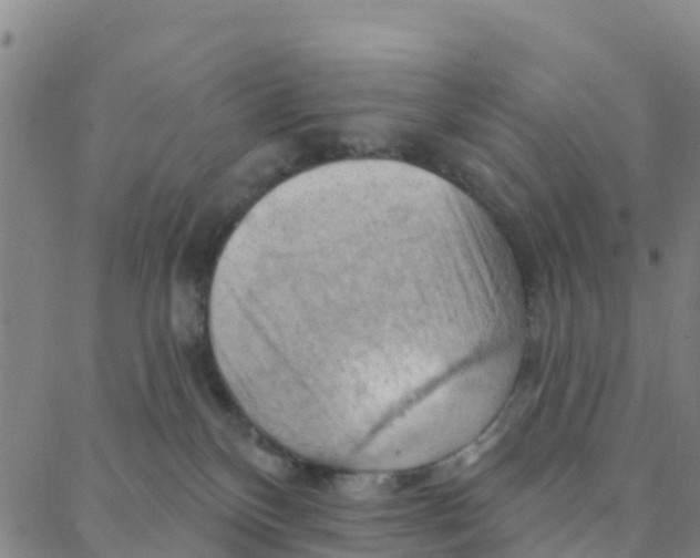 X0000088380136200706121154