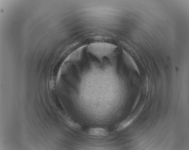 X0000088380137200706121154