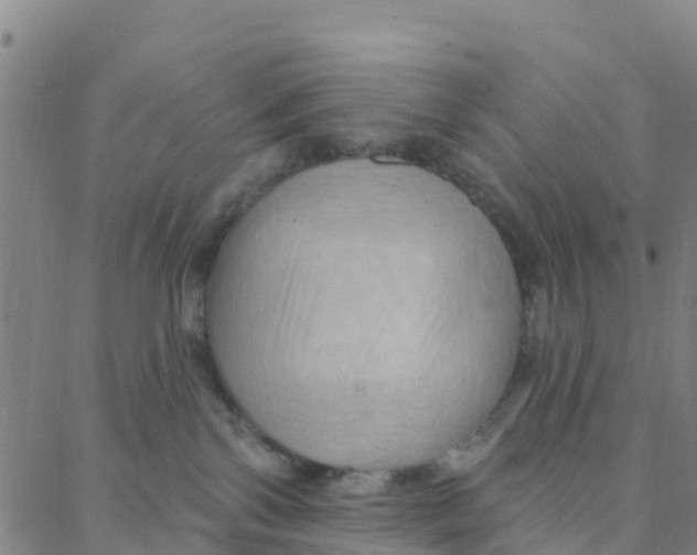 X0000088380138200706121154