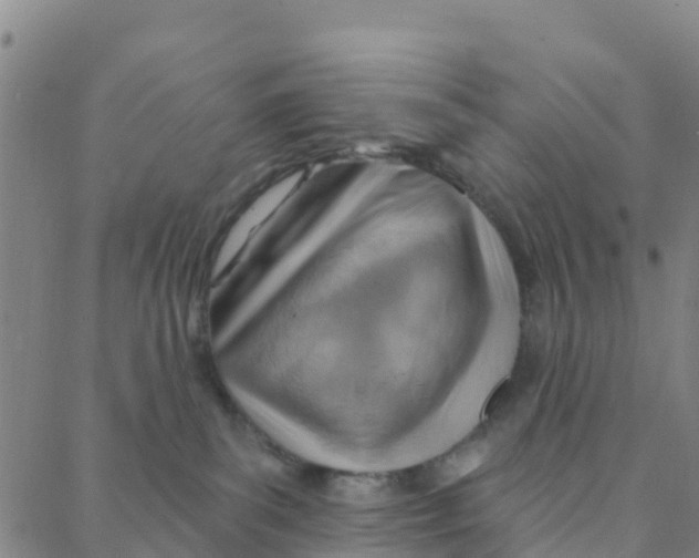 X0000088380139200706121154