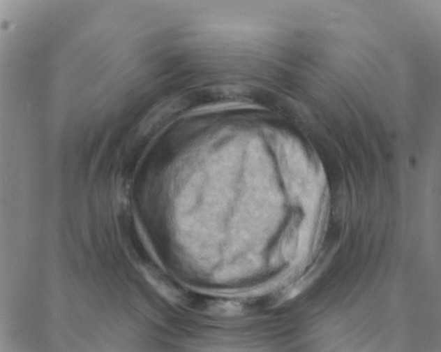 X0000088380140200706121154