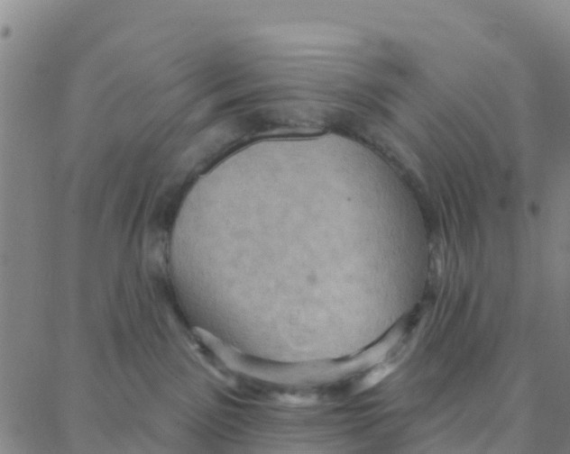 X0000088380141200706121154