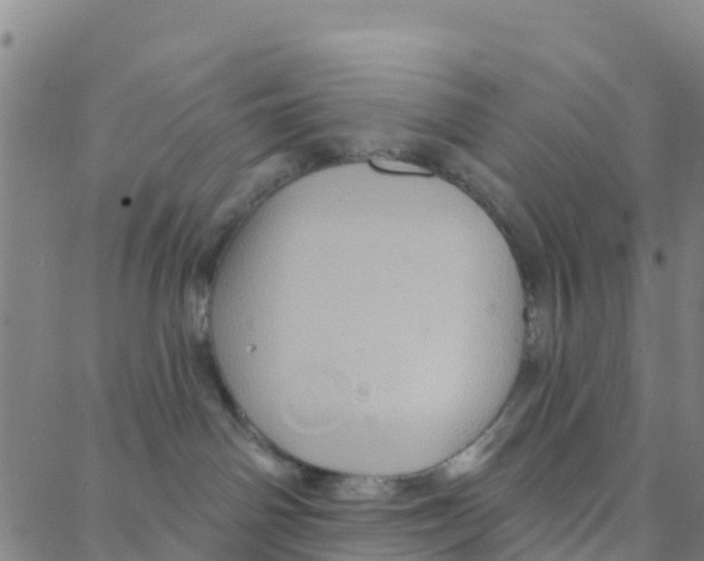 X0000088380142200706121154