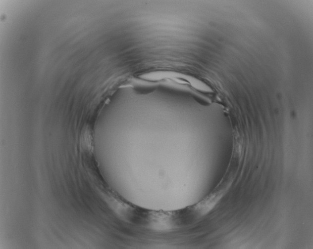 X0000088380143200706121154