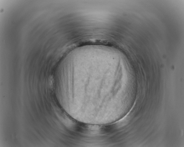 X0000088380144200706121154