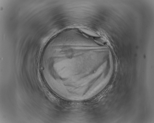 X0000088380145200706121153