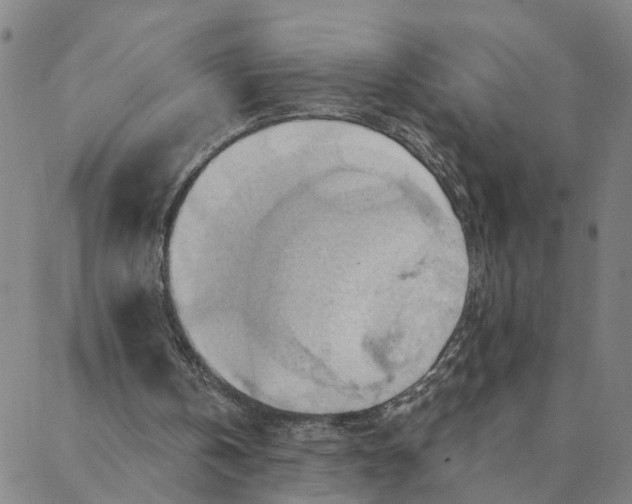 X0000088380146200706121153