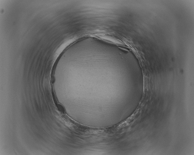 X0000088380147200706121153