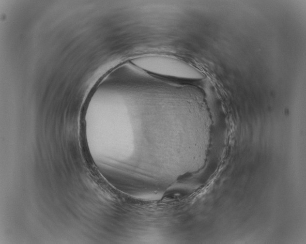 X0000088380148200706121153