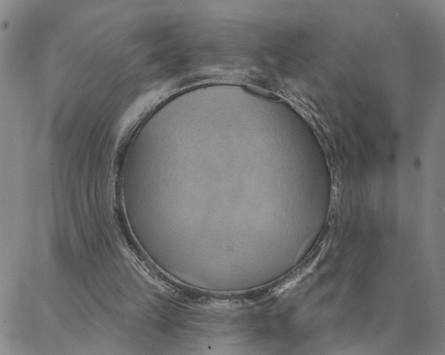 X0000088380149200706121153