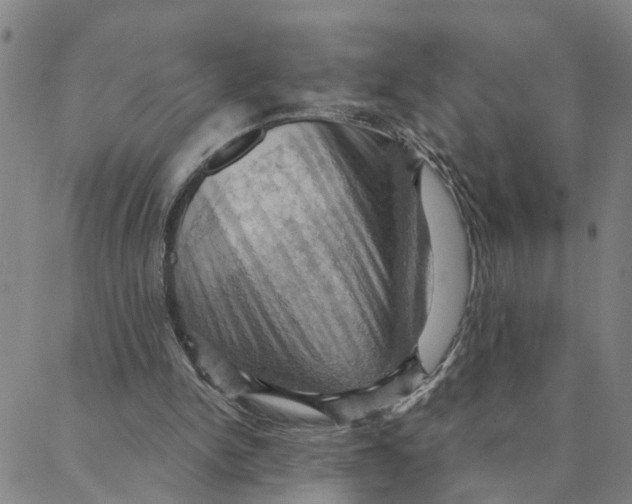 X0000088380150200706121153