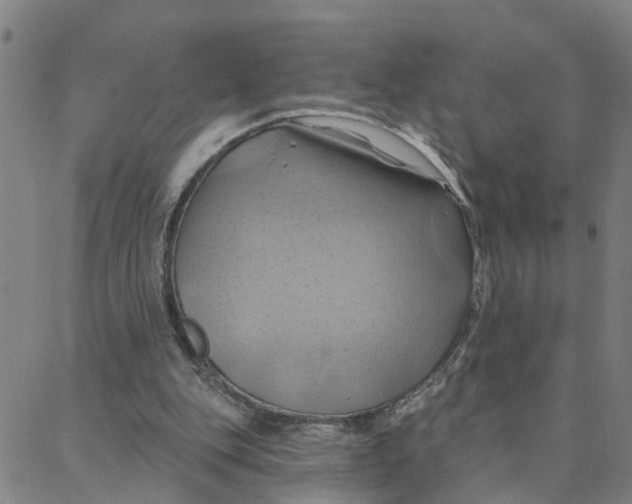 X0000088380151200706121153