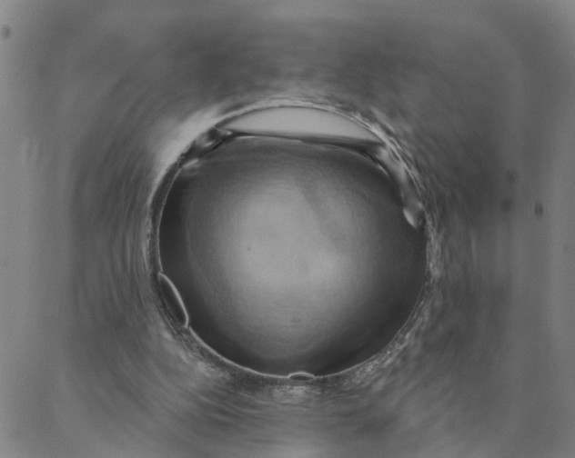 X0000088380152200706121153