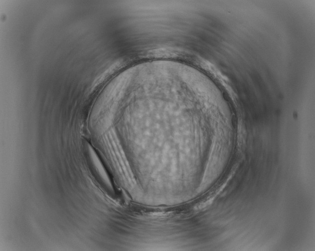 X0000088380153200706121154