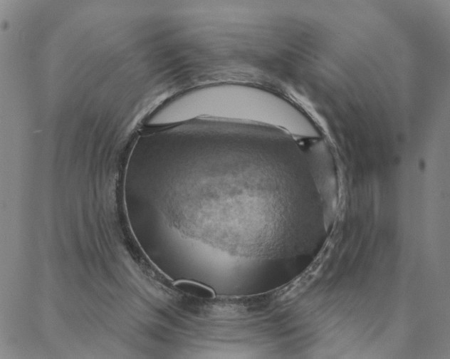 X0000088380154200706121154