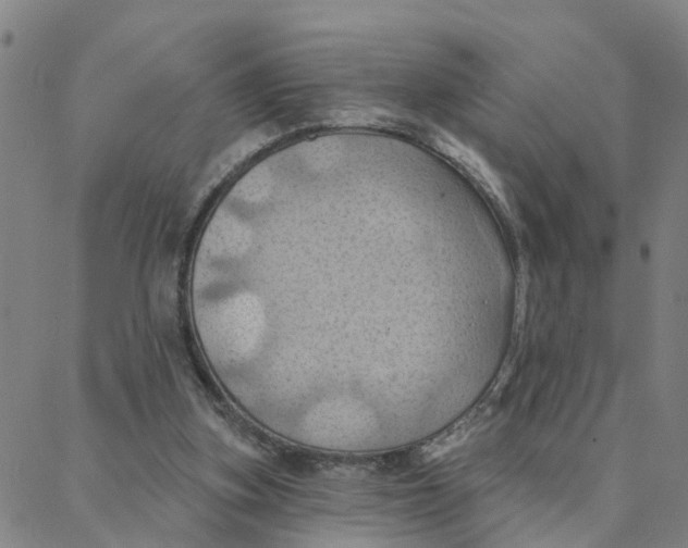 X0000088380155200706121154