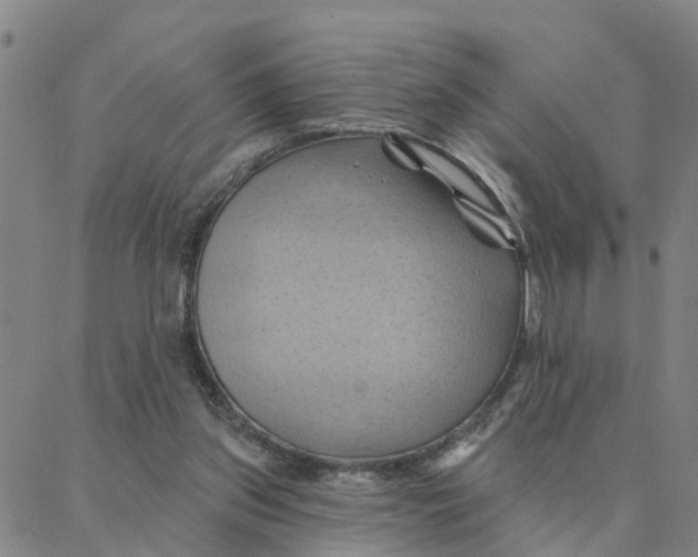 X0000088380157200706121154