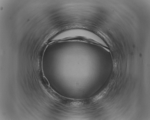 X0000088380158200706121154