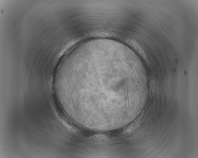 X0000088380159200706121154