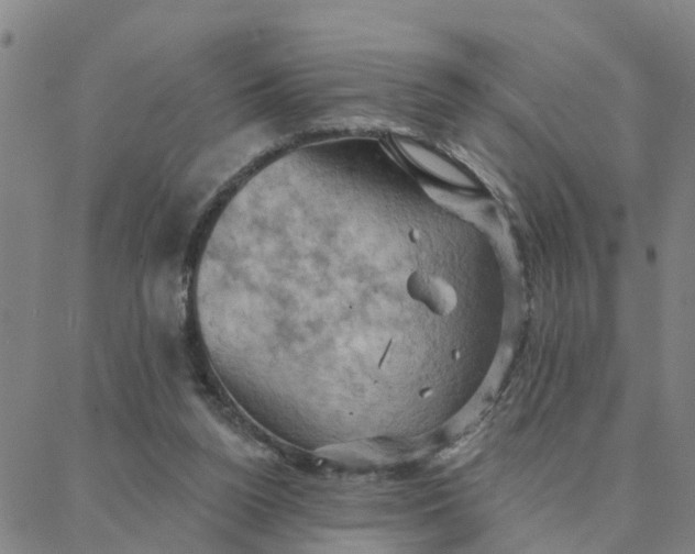 X0000088380160200706121154