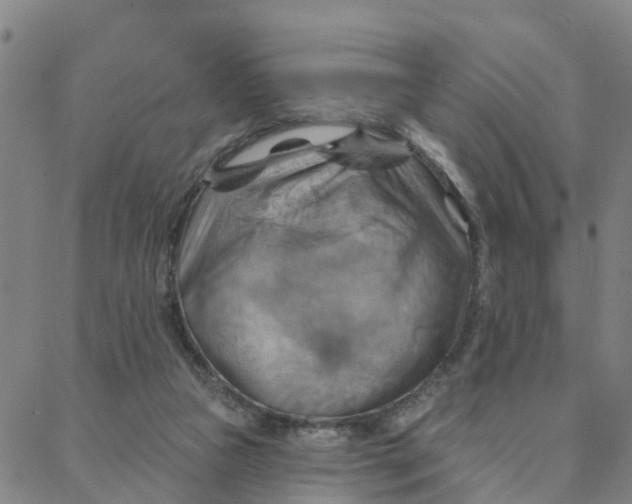 X0000088380161200706121154