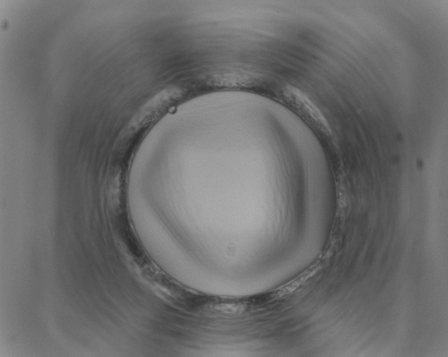 X0000088380163200706121154