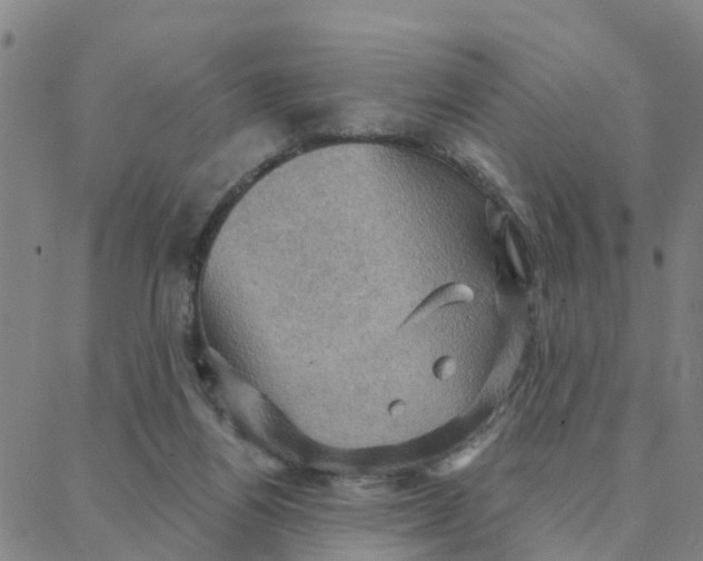 X0000088380164200706121154