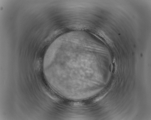 X0000088380165200706121154