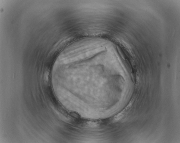 X0000088380166200706121154