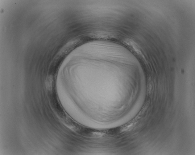 X0000088380167200706121154