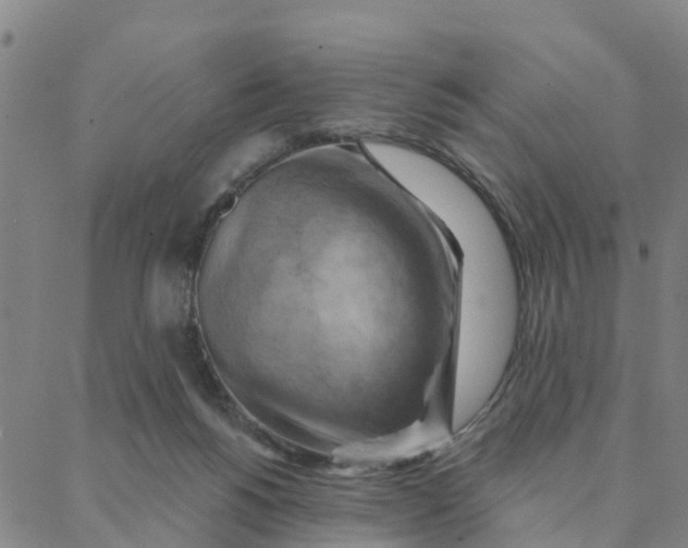 X0000088380168200706121154