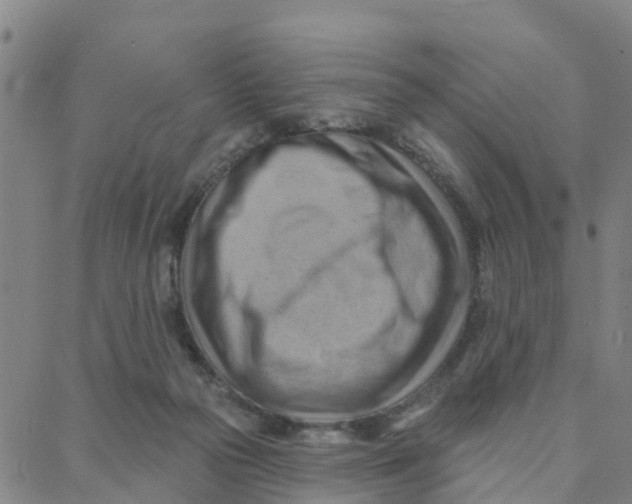 X0000088380169200706121154