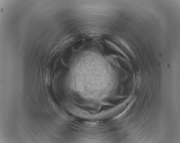 X0000088380170200706121154