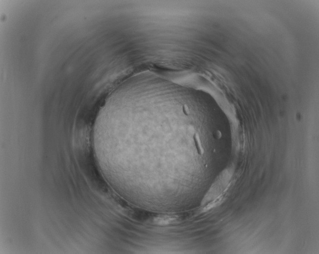 X0000088380172200706121154