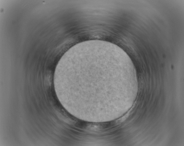 X0000088380174200706121154