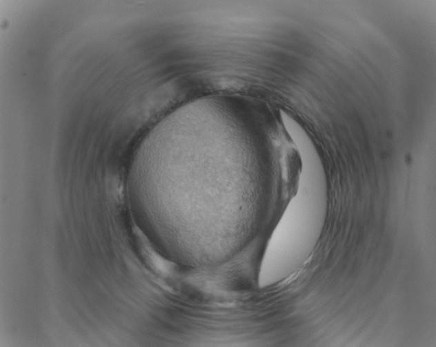 X0000088380176200706121154