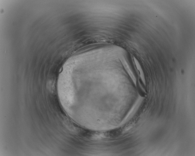 X0000088380177200706121154